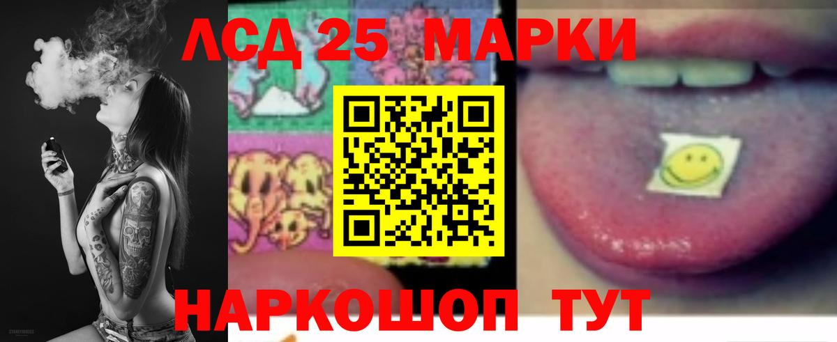 Бердск  ЛСД экстази ecstasy  OMG   LSD-25 экстази  ЛСД экстази кислота  Вход с VPN 