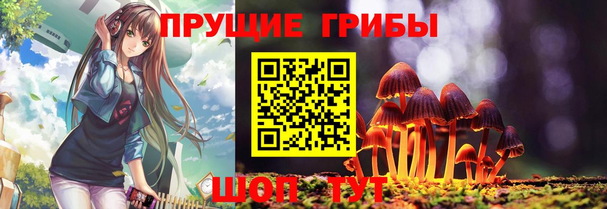 Бердск  Галлюциногенные грибы прущие грибы  Вход с VPN 